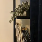 Guestfirst Aurora Space-themed Escape هلسنكي